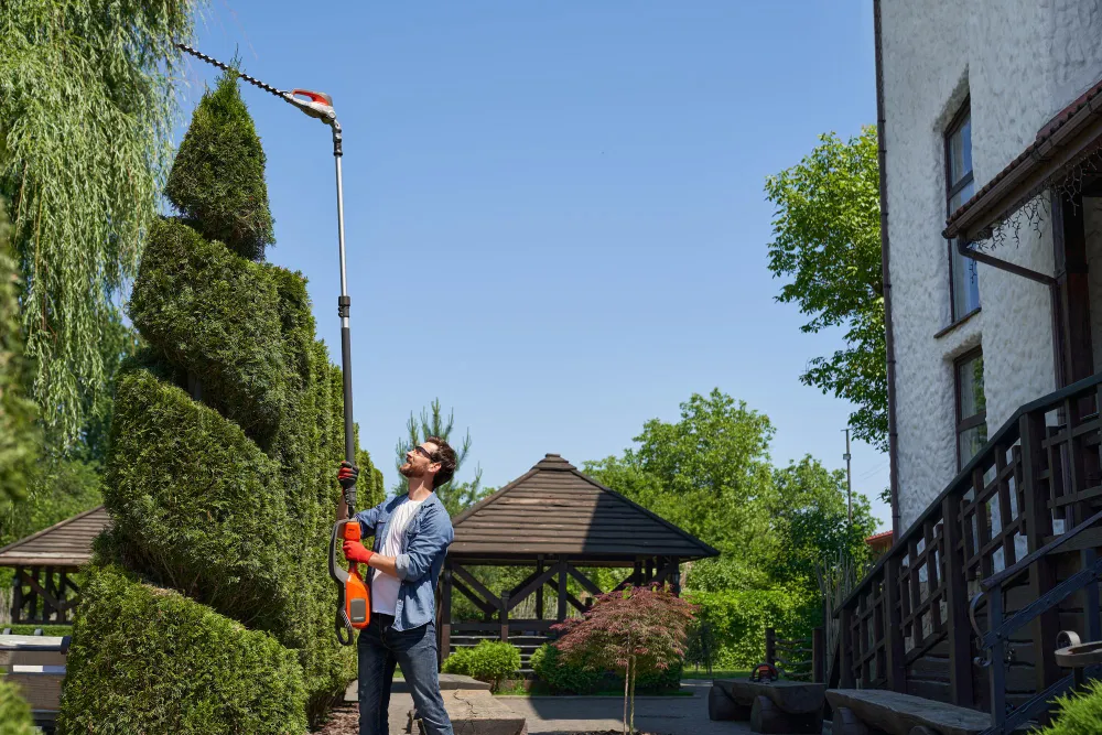 landscape maintenance services in Calgary